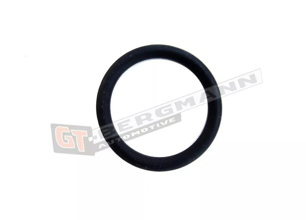 GT-BERGMANN Tetning, kjølemiddelflens GT52-140 GT52-140 Kjølevæskeflens RENAULT LAGUNA GT-BERGMANN