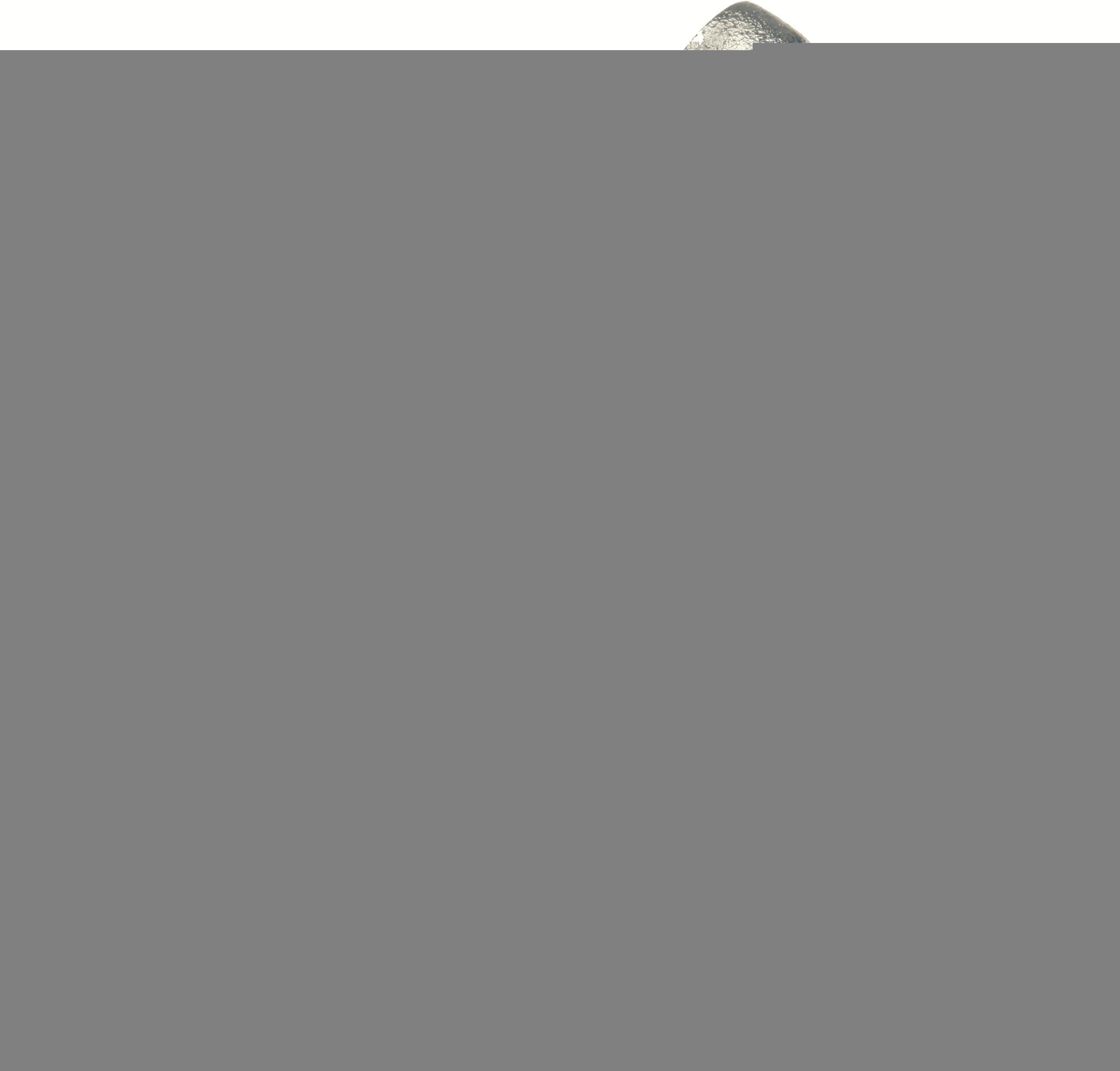 TRW Supporto, Pinza freno BDA996 TRW BDA996 Supporto, Pinza freno