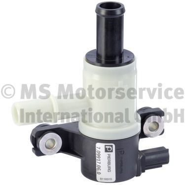 PIERBURG Ventilācijas vārsts, Degvielas tvertne 7.09917.06.0 Ventilācijas vārsts, degvielas tvertne PIERBURG ATECA 7.09917.06.0 lēti