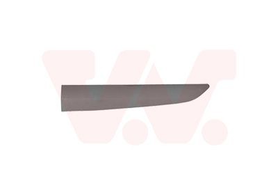 VAN WEZEL Διακοσμητική / προστατευτική λωρίδα, πόρτα 1925425 Φάσα πόρτας VAN WEZEL Ford C-MAX 1925425