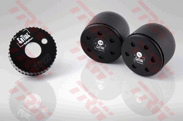 TRW Wielsensor, controlesysteem bandenspanning (TPMS-sensor) ESE900 ESE900 Bandenspanning sensor MERCEDES-BENZ 190 TRW