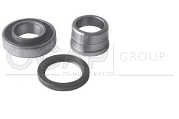 OCAP Kit de rolamento de roda 6120661 Cubo da roda OCAP CITROËN 6120661