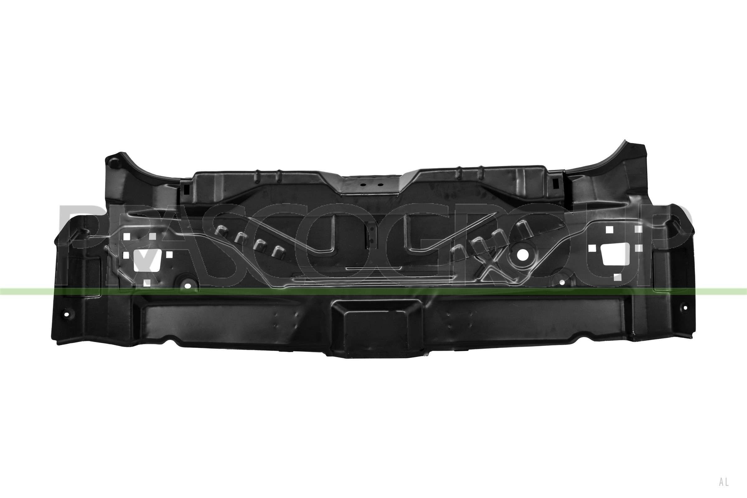 PRASCO Tagasein DS7133250 PRASCO DS7133250 Tagaosa detailid Nissan Pathfinder r51 odava hinnaga