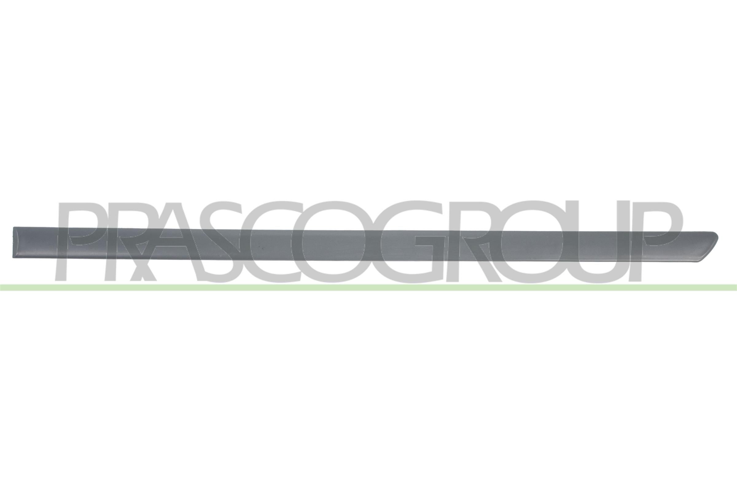 PRASCO Door molding VG0211464 VG0211464 PRASCO door trim VW EOS