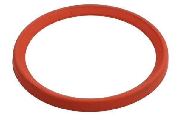 THERMOTEC Tesniaci krúżok hadice plniaceho vzduchu DCR281TT DCR281TT THERMOTEC Tesniaci krúżok hadice plniaceho vzduchu Chevrolet lacné