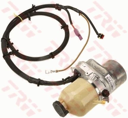 TRW Servopumpe JER100 TRW JER100 PONTIAC Bonneville X Sedan Servopumpe til en rimelig pris