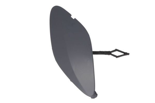 BLIC Copriparaurti, Gancio traino 5513-00-6015920P 5513-00-6015920P Tappo gancio traino BLIC RENAULT MEGANE costo