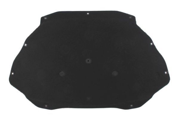 BLIC Motorruimte-isolatie 6804-00-5721291P BLIC 6804-00-5721291P Motorruimte-isolatie PORSCHE Panamera (970) 4.8 Turbo 500 Pk 2012