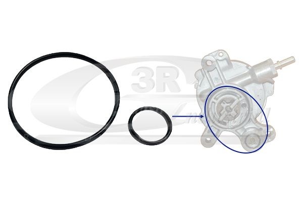 3RG Seal Set, vacuum pump 74209 3RG 74209 C8 II brake vacuum pump cost