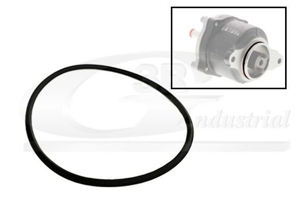 3RG Pakking, distributiecarter 81091 3RG 81091 Pakking, distributiecarter RENAULT Vel Satis Hatchback 2.0 16V Turbo (BJ0K) 163 Pk 2007