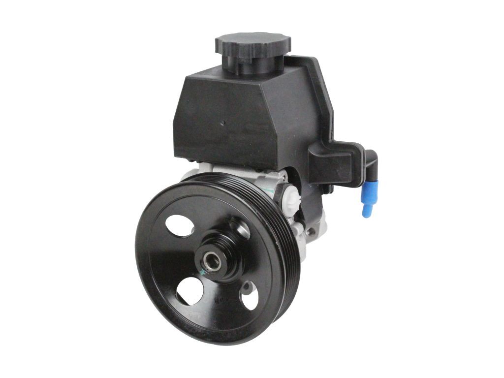 Servopumpe ABAKUS 140-01-101 ABAKUS 140-01-101: Hydraulikpumpe Volkswagen PHAETON 2009