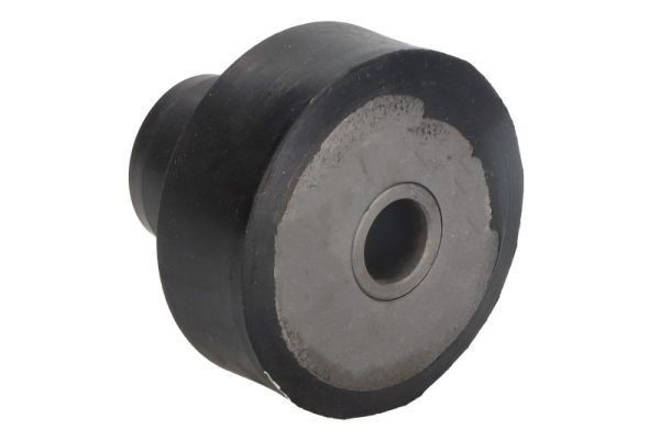 S-TR Motorfeste STR-15A234 STR-15A234 Motorfeste S-TR CITROЁN C4