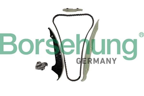 Borsehung Sadales vārpstas piedziņas ķēdes komplekts B10253 Borsehung B10253 Sadales vārpstas piedziņas ķēdes komplekts