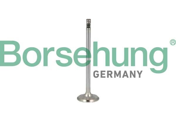 Borsehung Soupape d'échappement B10350 Borsehung B10350 Soupape d'echappement BMW F33 prix