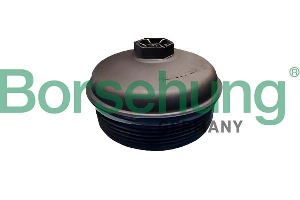 Borsehung Deksel, oljefilterbeholder B12410 B12410 Oljefilterhus og tetning RENAULT CLIO Borsehung