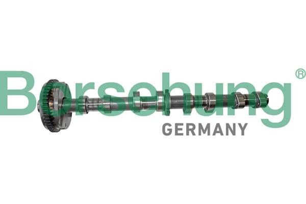 Borsehung Kamaksel B12413 Kamaksel Borsehung 900 B12413 billige