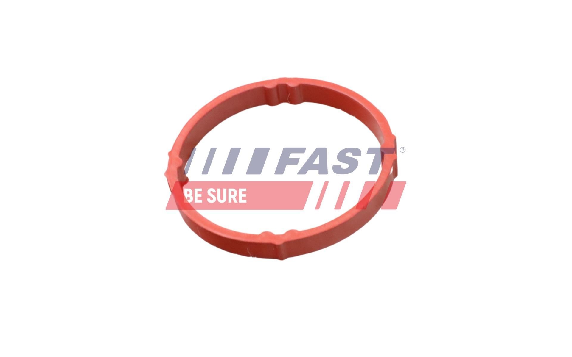 FAST Šļūtene, Motora galvas vāka ventilācija FT48958 Šļūtene, motora galvas vāka ventilācija FAST AVEO FT48958 lēti