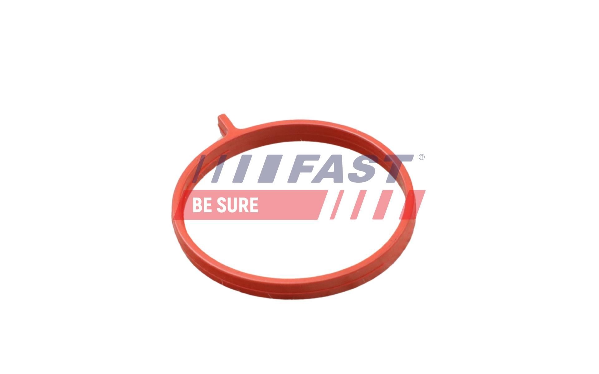 FAST Flexible, aération de la housse de culasse FT48959 Flexible aération de la housse de culasse FAST IGNIS FT48959 pas cher
