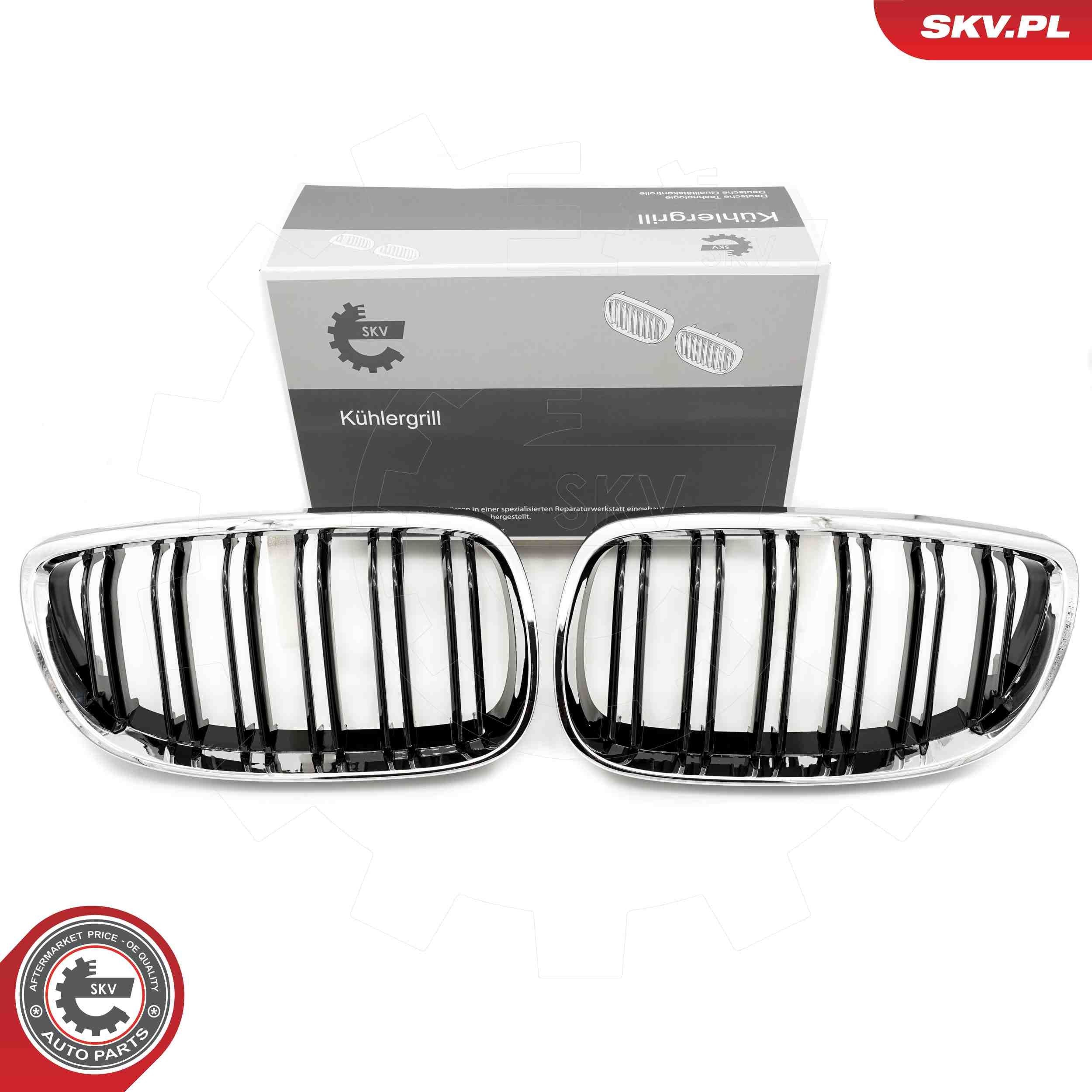 ESEN SKV Radiatorgitter 66SKV110 ESEN SKV 66SKV110 Front grill BMW E92 til en fordelagtig pris