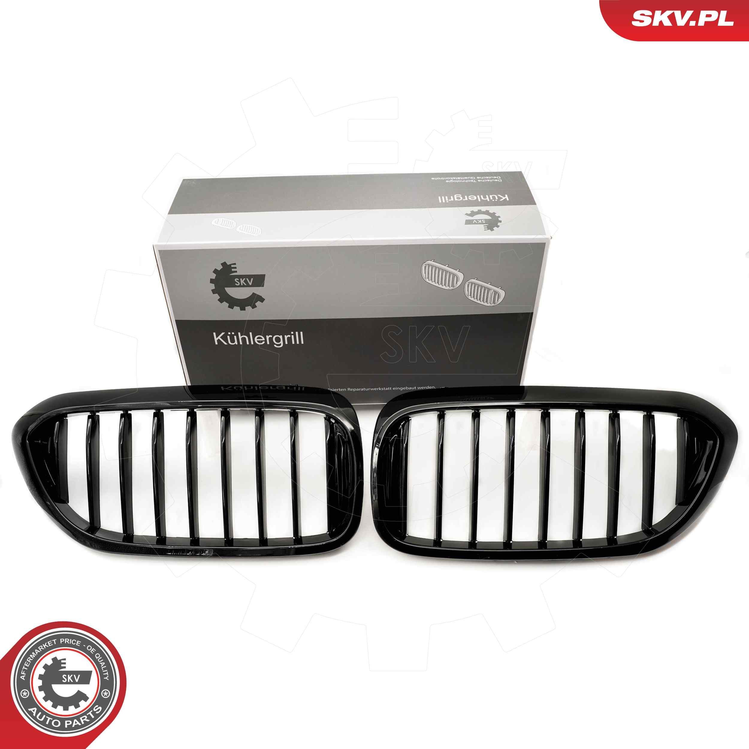 ESEN SKV Kylargrill 66SKV198 ESEN SKV 66SKV198 Kylargrill BMW 5 Sedan (G30, F90) M 550 i xDrive 462 hk 2019