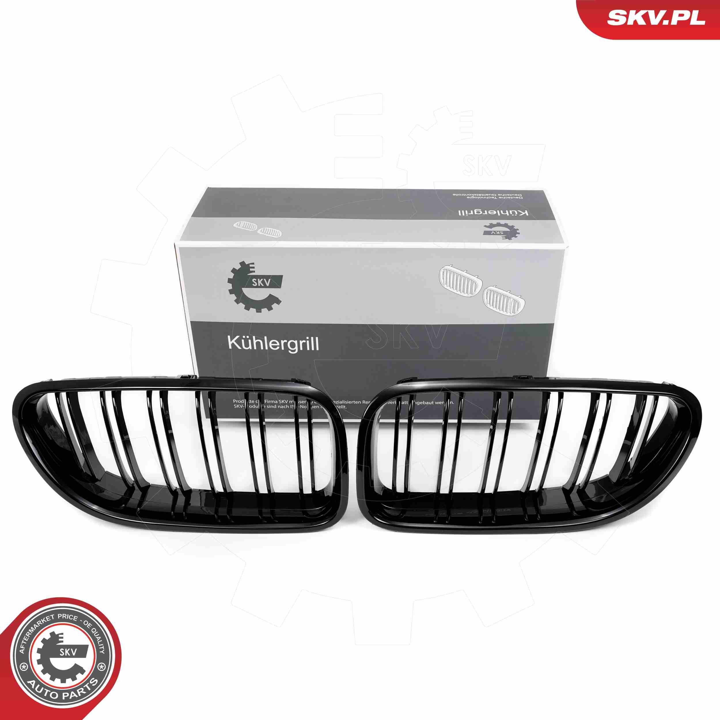 ESEN SKV Kylargrill 66SKV206 ESEN SKV 66SKV206 Kylargrill BMW F06