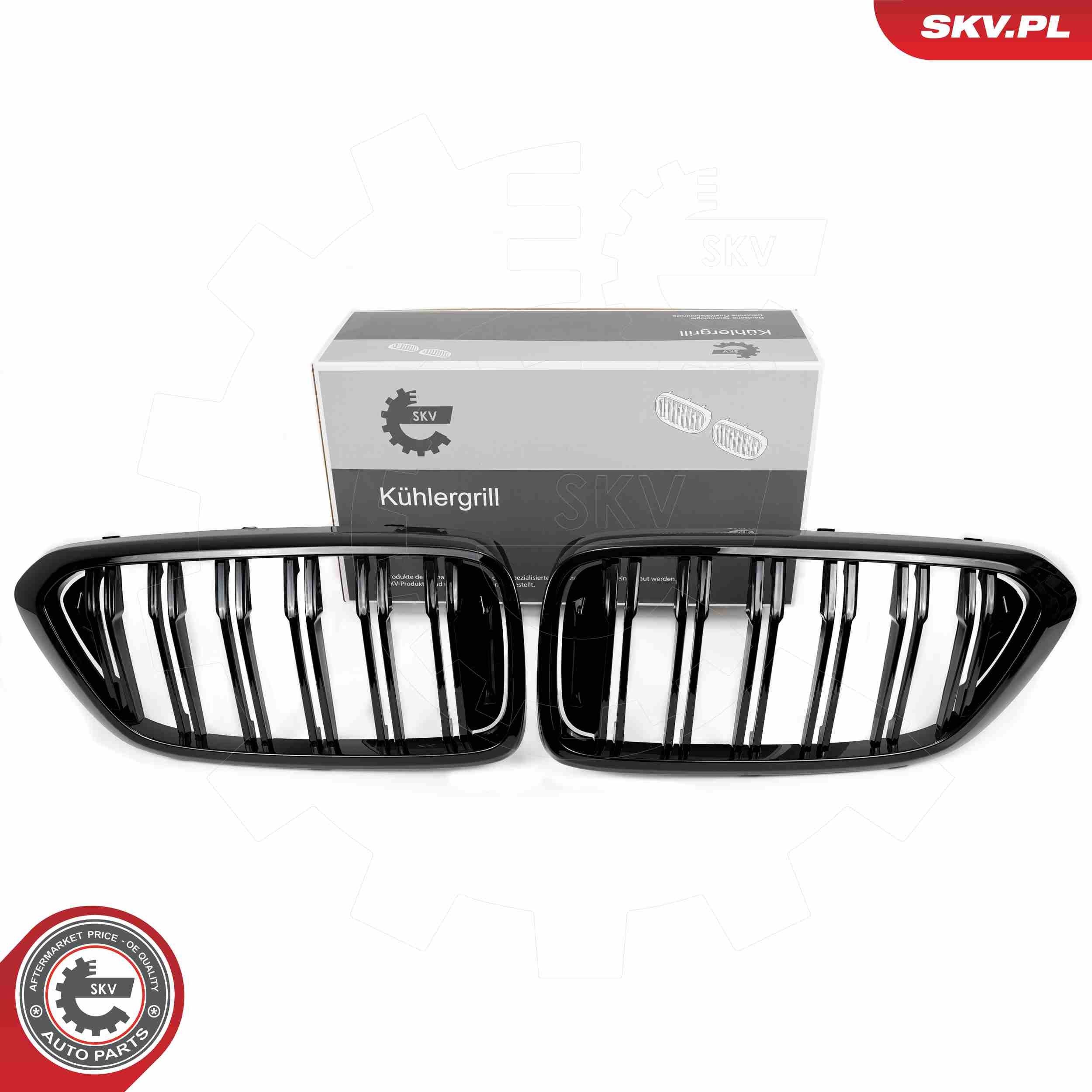 ESEN SKV Radiator grill 66SKV210 ESEN SKV 66SKV210 Radiator grill BMW 6 Gran Turismo (G32) 620 d 190 Pk 2018