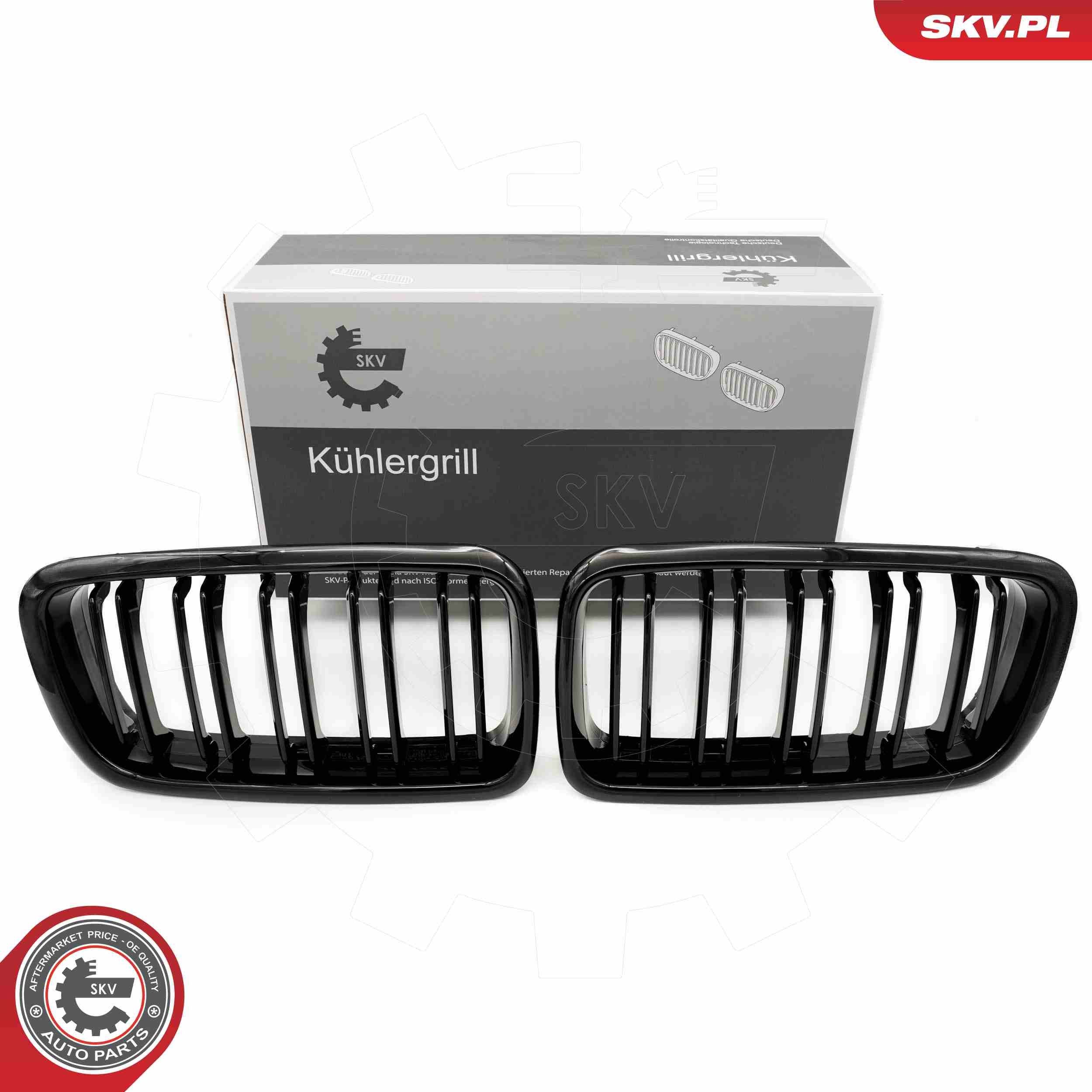 ESEN SKV Griglia radiatore 66SKV216 ESEN SKV 66SKV216 Calandra BMW E38 prezzo