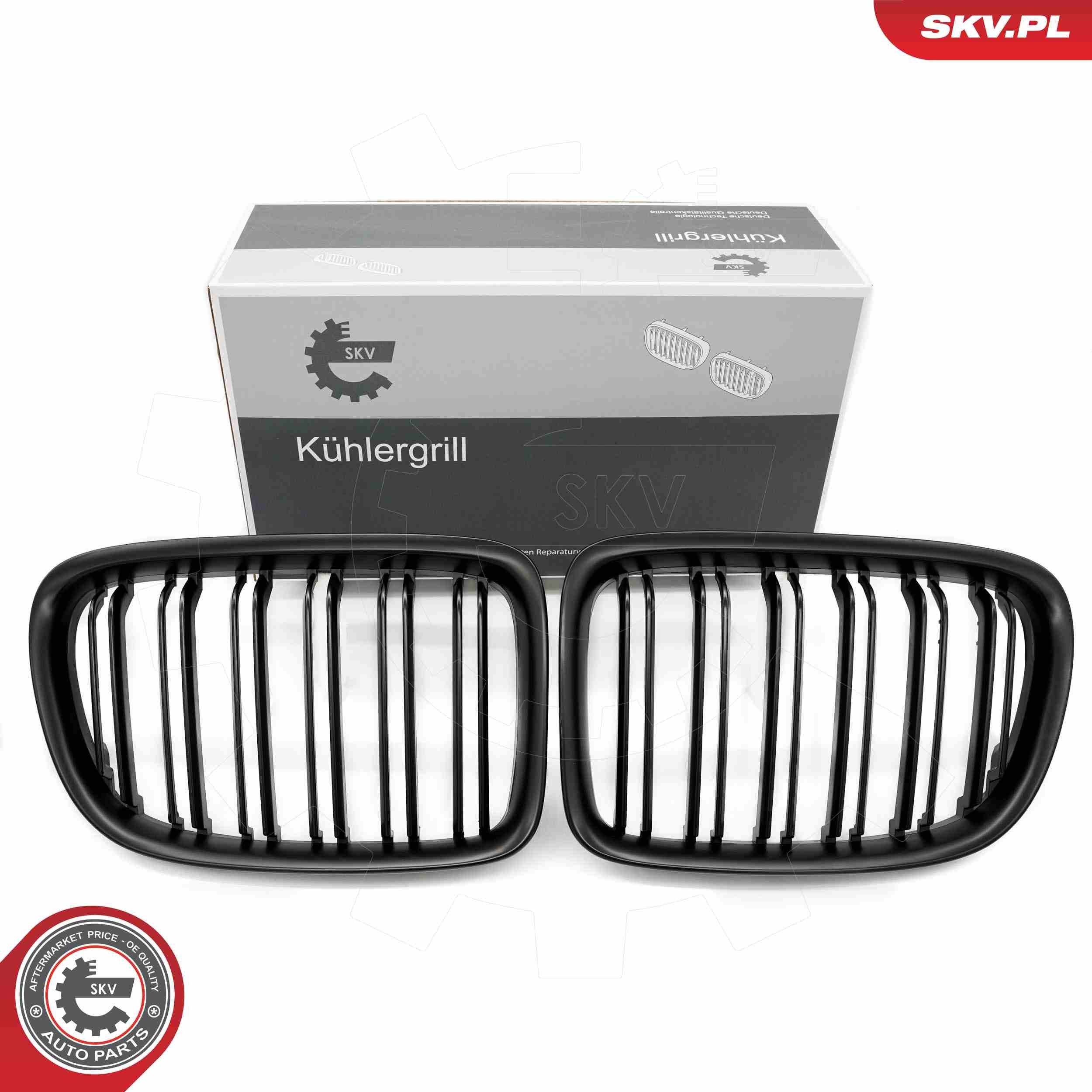 ESEN SKV Μάσκα ψυγείου 66SKV234 Μάσκα ψυγείου BMW E84 66SKV234 ESEN SKV