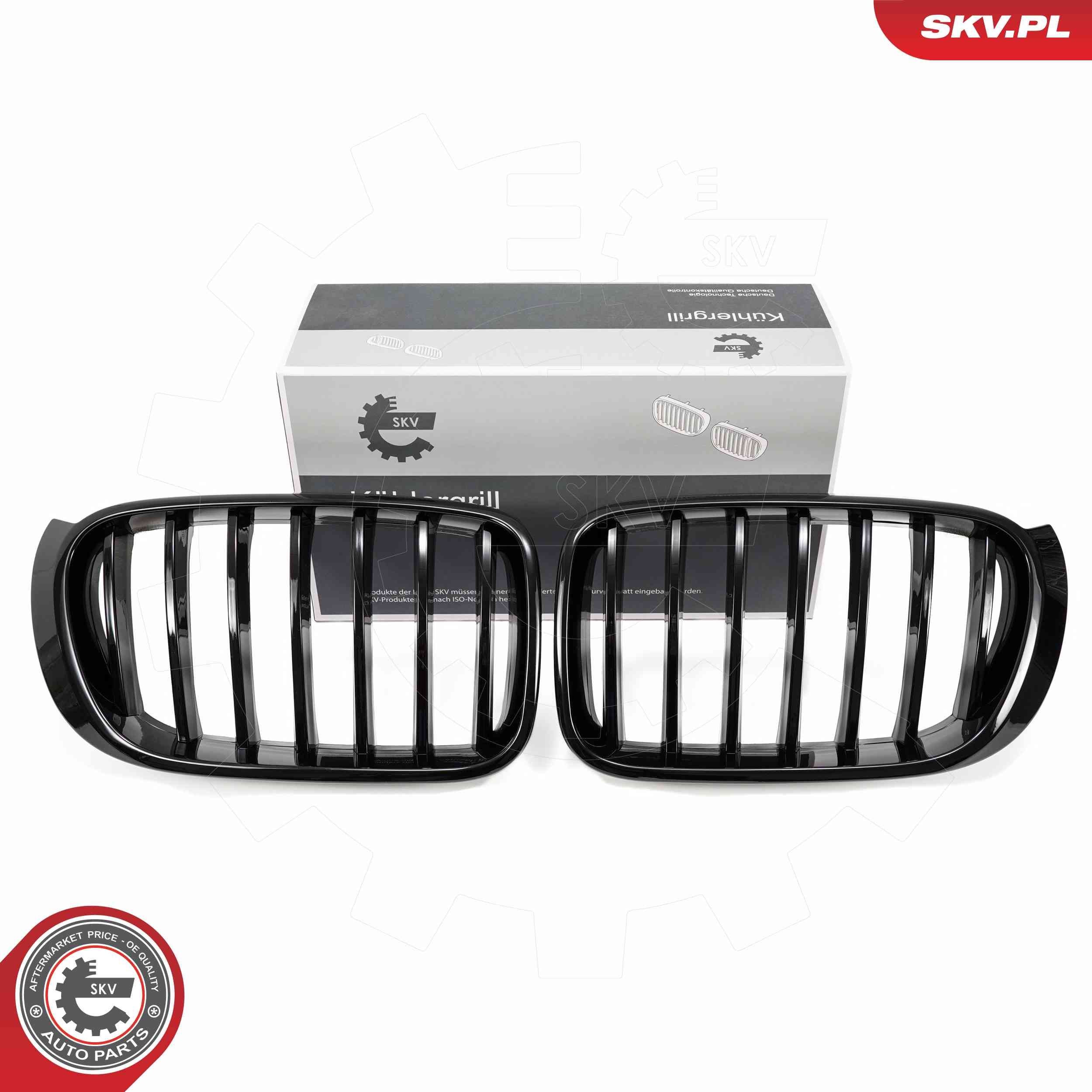 Radiatora reste ESEN SKV 66SKV254 ESEN SKV 66SKV254 Radiatora reste BMW X4 2014