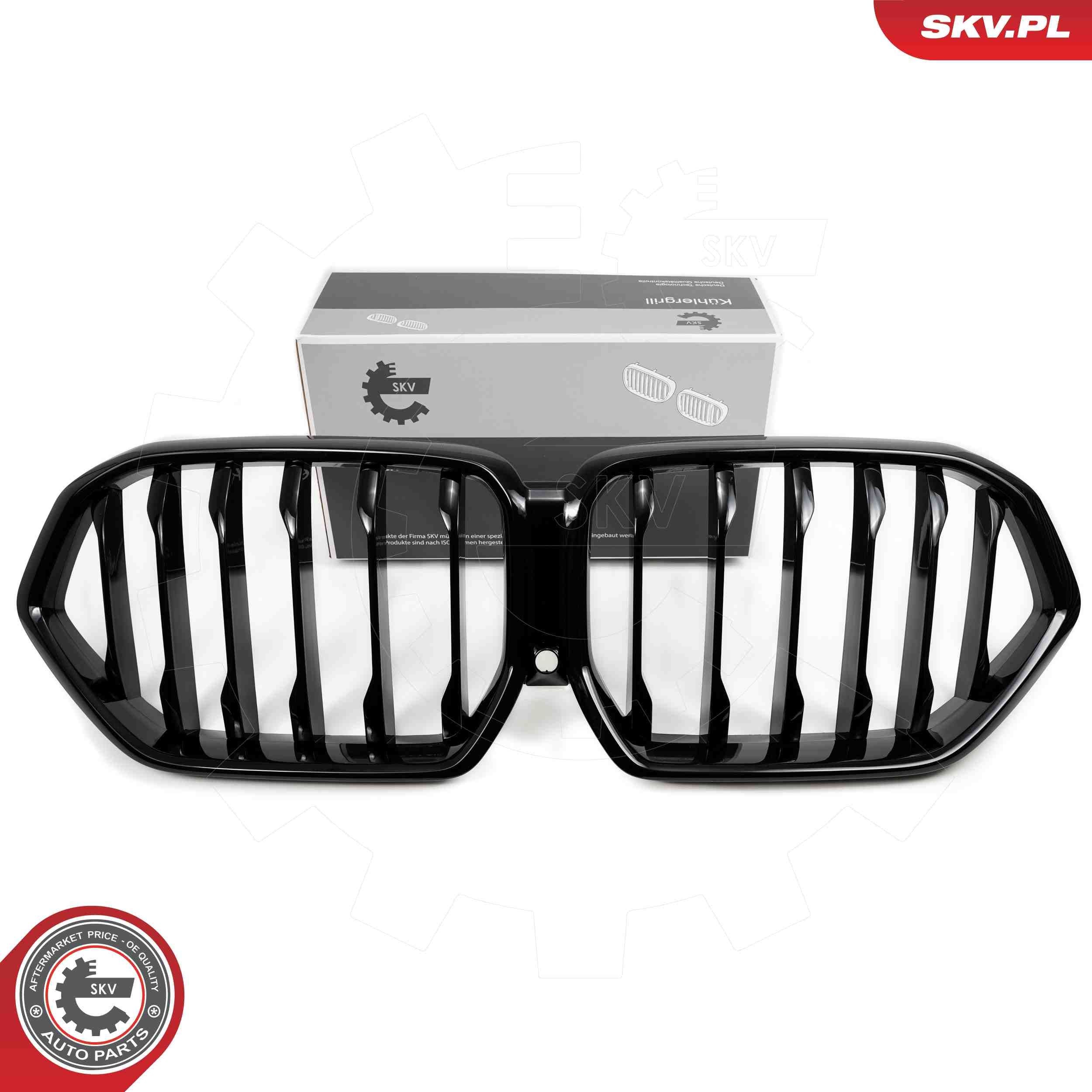 Kylargrill ESEN SKV 66SKV307 ESEN SKV 66SKV307 Kylarmaskering BMW X6 2020