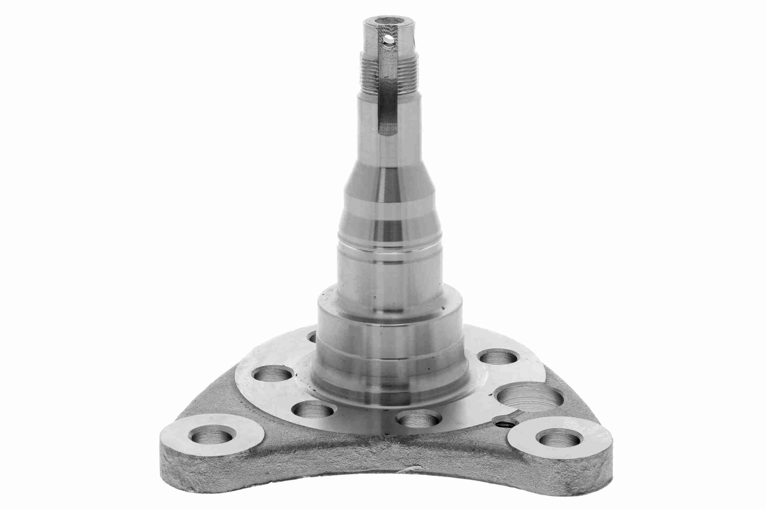 VAICO Achszapfen V10-1391 V10-1391 Achsschenkel VAICO MERCEDES-BENZ AMG GT