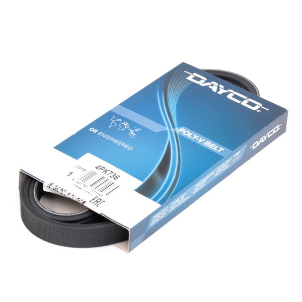 DAYCO Multireim 4PK736 DAYCO 4PK736 Multireim FORD Transit Tourneo (FC_ _) billige