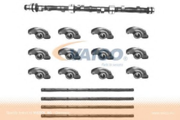 VAICO Nukkvõllikomplekt V20-0254 Nukkvõll BMW VAICO V20-0254