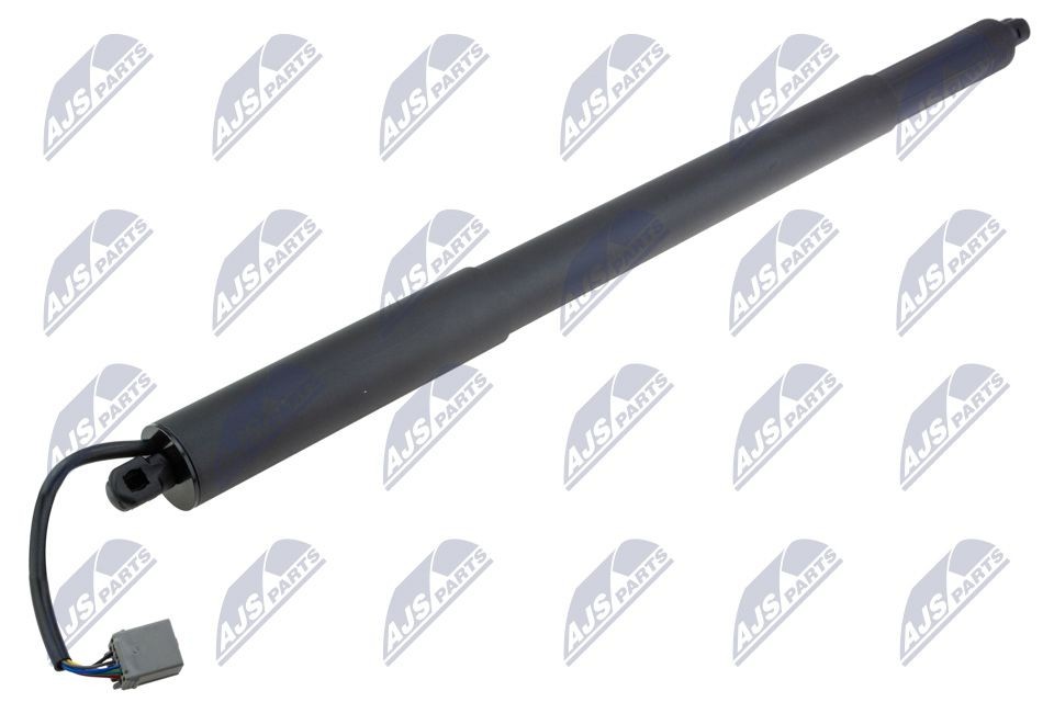 NTY Elmotor, bagklap AE-FR-080 NTY AE-FR-080 Bagklapsdæmper FORD USA Mustang Mk7 Cabriolet (S650) billig