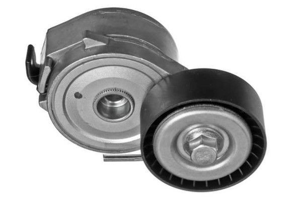 GOOM Riemenspanner, Keilrippenriemen BT-0055 BT-0055 Riemenspanner Keilrippenriemen GOOM LANCIA Kosten
