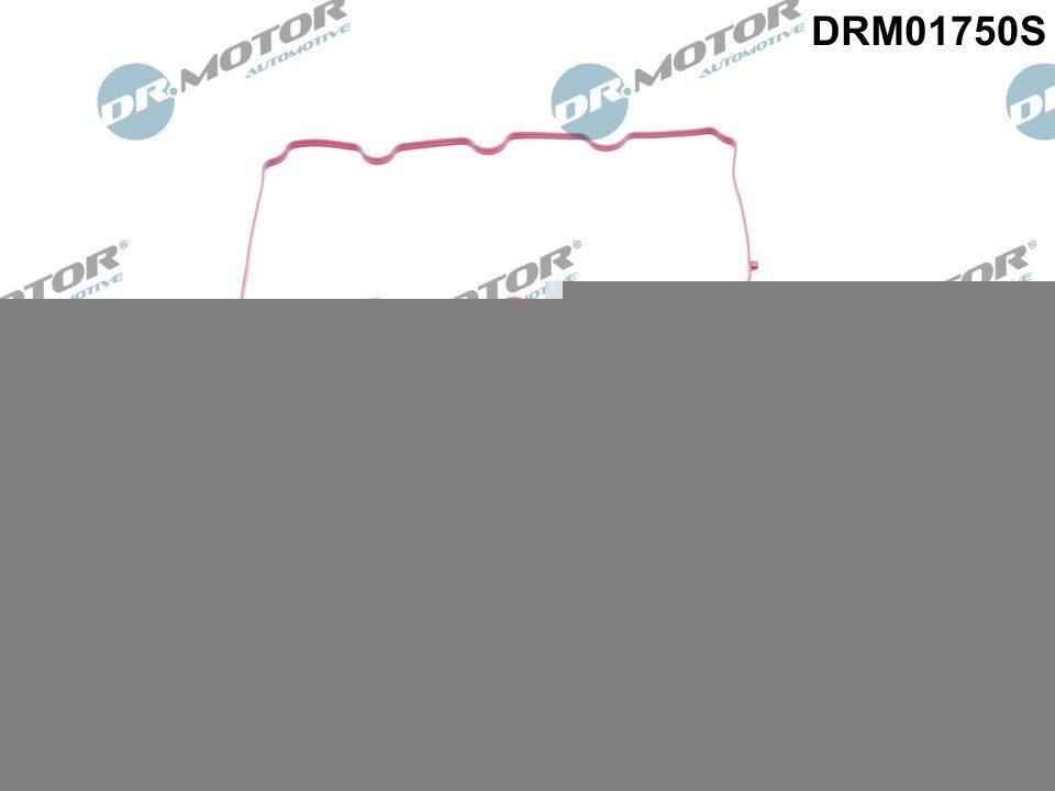 Packningssats, insugsgrenrör DR.MOTOR AUTOMOTIVE DRM01750S DR.MOTOR AUTOMOTIVE DRM01750S: Insugspackning Ford KUGA 2015