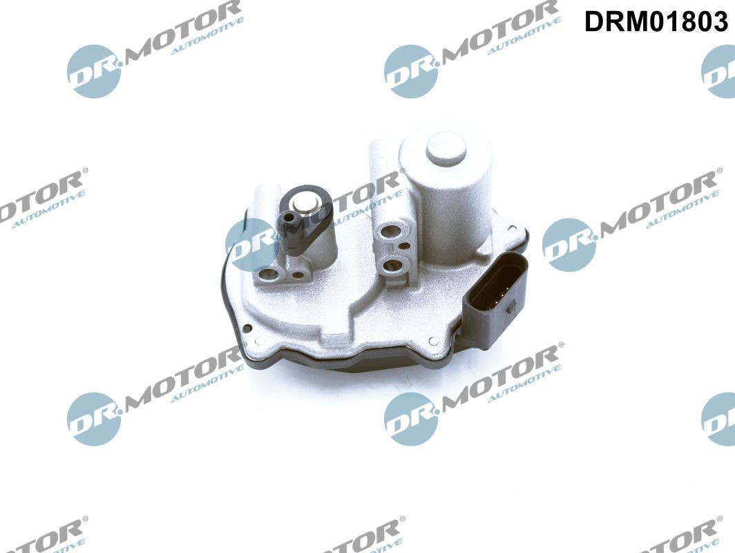 DR.MOTOR AUTOMOTIVE Afstelelement, drallklep(zuigleiding) DRM01803 DR.MOTOR AUTOMOTIVE DRM01803 Klep, luchtbesturing-binnenkomende lucht Volkswagen SCIROCCO originele