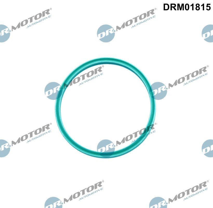 DR.MOTOR AUTOMOTIVE Tiivisterengas, ahtoilmaletku DRM01815 DR.MOTOR AUTOMOTIVE DRM01815 VW Touran 5t rengastiiviste, ahtoilmaletku vaihto hinta
