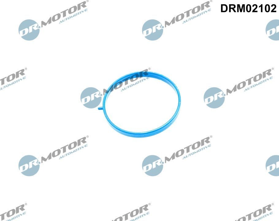 DR.MOTOR AUTOMOTIVE Tihend, sisselaskekollektor DRM02102 DR.MOTOR AUTOMOTIVE DRM02102 Sisselaskekollektori tihend Mazda 5 cr19 originaal hind