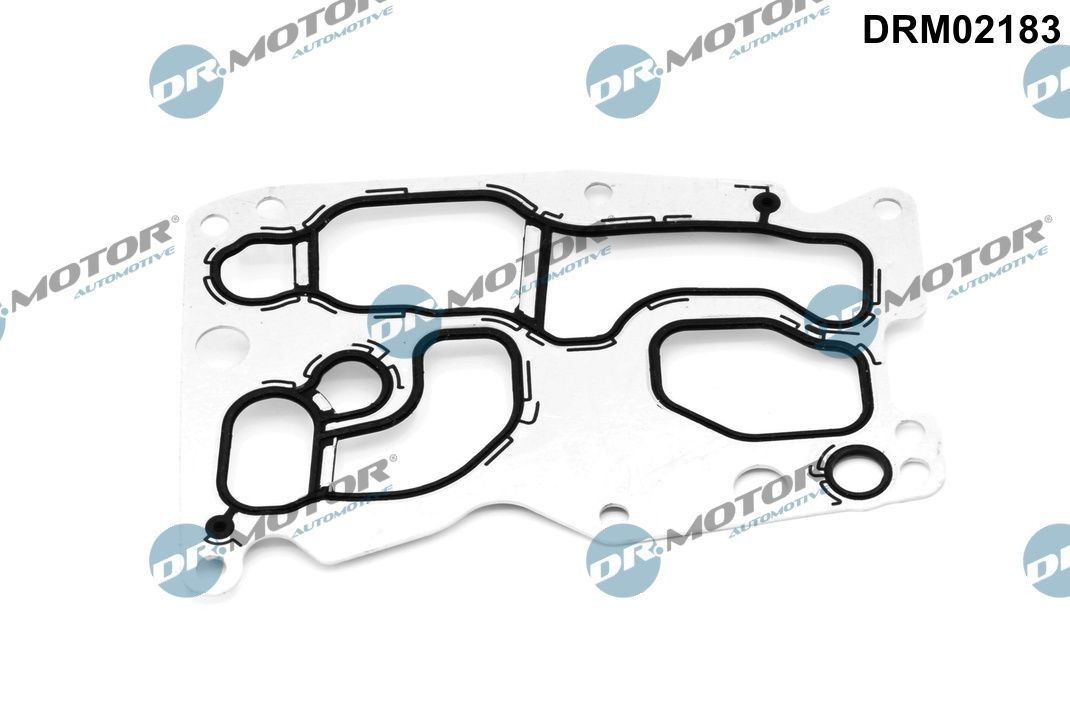 DR.MOTOR AUTOMOTIVE Φλάντζα, ψυγείο λαδιού DRM02183 Φλάντζα ψυγείο λαδιού DR.MOTOR AUTOMOTIVE BMW Z3 DRM02183