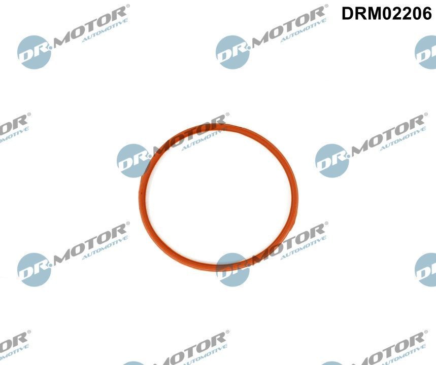 DR.MOTOR AUTOMOTIVE Τσιμούχα, πολλαπλή εισαγωγής DRM02206 DR.MOTOR AUTOMOTIVE DRM02206 γνήσια Τσιμουχα πολλαπλής εισαγωγής Volvo V90 2 κόστος
