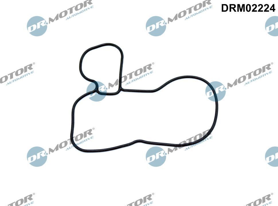 DR.MOTOR AUTOMOTIVE Tesnenie, olejové čerpadlo DRM02224 Tesnenie, olejové čerpadlo DR.MOTOR AUTOMOTIVE DATSUN DRM02224 lacné