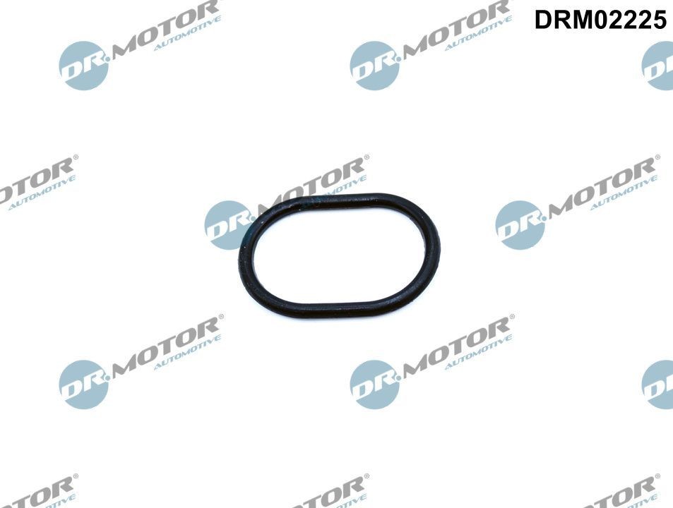 DR.MOTOR AUTOMOTIVE Στεγανοποιητικός δακτύλιος DRM02225 DR.MOTOR AUTOMOTIVE DRM02225 Στεγανοποιητικός δακτύλιος