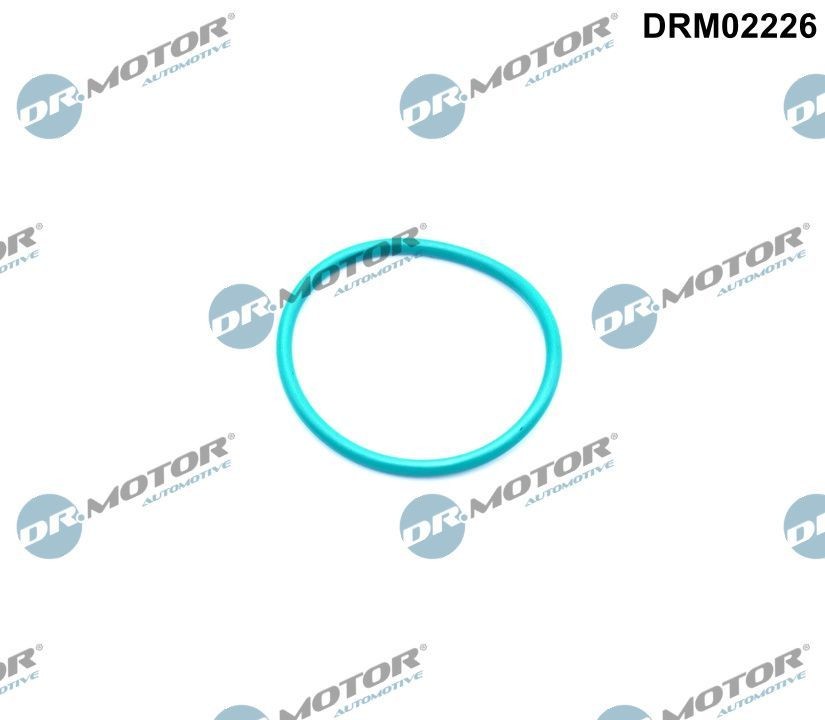 DR.MOTOR AUTOMOTIVE Guarnizione valvola EGR (ricircolo gas scarico) DRM02226 DRM02226 Guarnizione valvola egr DR.MOTOR AUTOMOTIVE Mitsubishi