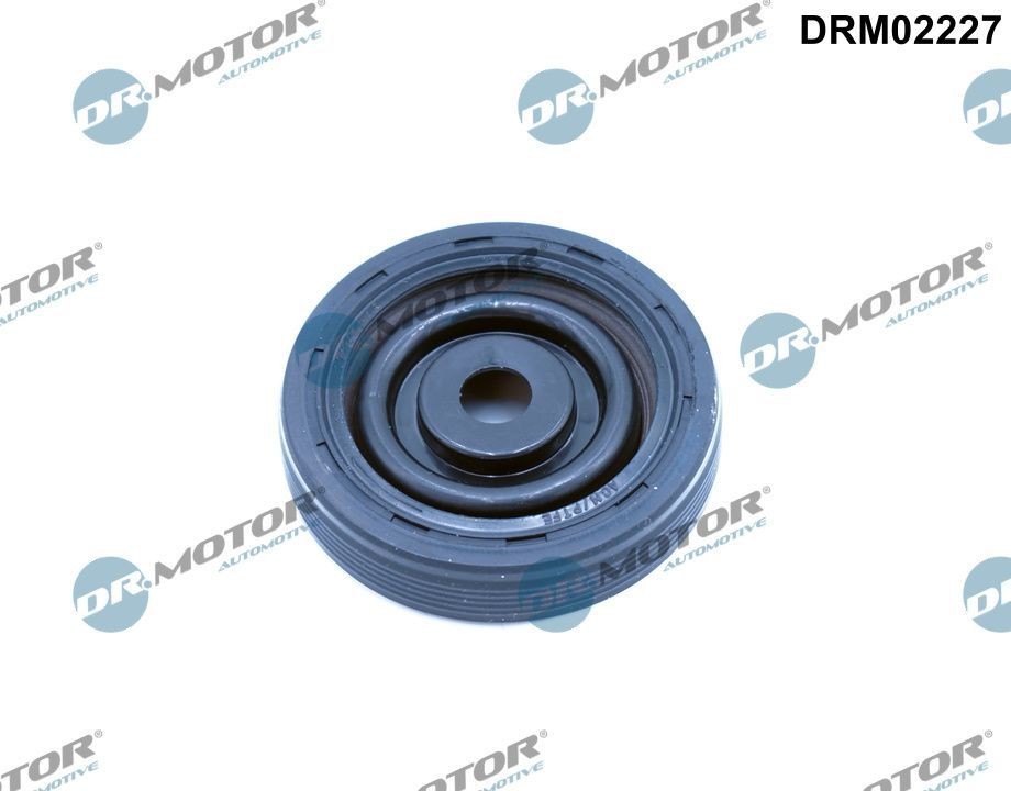DR.MOTOR AUTOMOTIVE Simring, veivaksel DRM02227 Veivaksel tetningsring DR.MOTOR AUTOMOTIVE Honda S2000 DRM02227