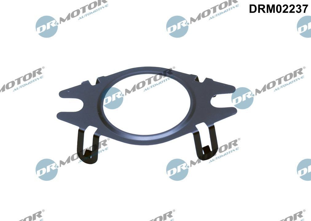 DR.MOTOR AUTOMOTIVE Dichtring, leiding AGR klep DRM02237 DR.MOTOR AUTOMOTIVE DRM02237 Egr-klep pakking Ford MONDEO originele
