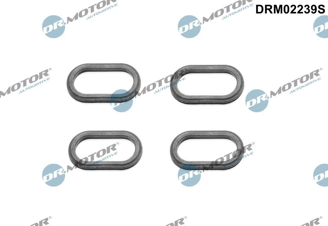 DR.MOTOR AUTOMOTIVE Τσιμούχα DRM02239S DR.MOTOR AUTOMOTIVE DRM02239S Σετ τσιμούχες μπεκ ψεκασμού Hyundai I10 PA τιμες