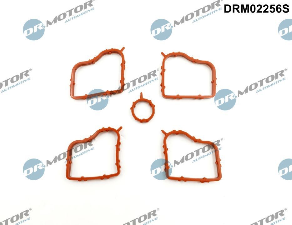 DR.MOTOR AUTOMOTIVE Pakkingset, klepdeksel DRM02256S DRM02256S Kleppendeksel pakking TOYOTA HIACE DR.MOTOR AUTOMOTIVE