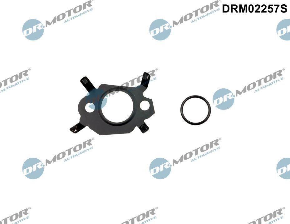 DR.MOTOR AUTOMOTIVE Jogo de vedantes, sistema de recirculação gases de escape DRM02257S DR.MOTOR AUTOMOTIVE DRM02257S Junta de válvula egr Mustang Mk4 Cabrio (C) originais preço