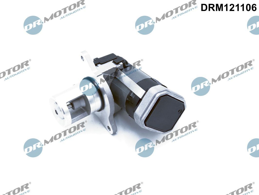DR.MOTOR AUTOMOTIVE Venttiili, pakokaasun kierrätys DRM121106 DRM121106 DR.MOTOR AUTOMOTIVE Egr venttiili Dacia DOKKER hinta